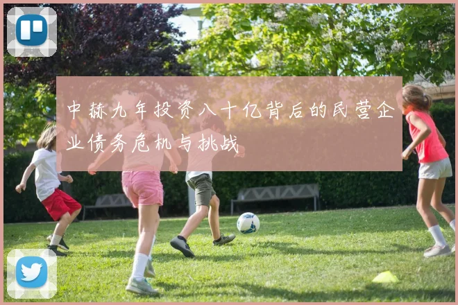 中赫九年投资八十亿背后的民营企业债务危机与挑战