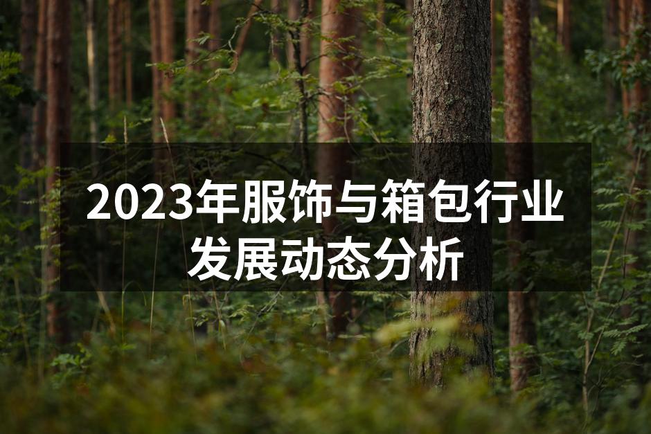 2023年服饰与箱包行业发展动态分析